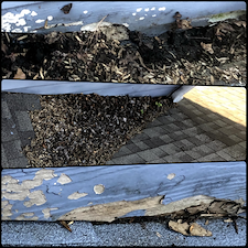 Gutter-Cleaning-Roof-Blow-off-in-Cary-NC 5